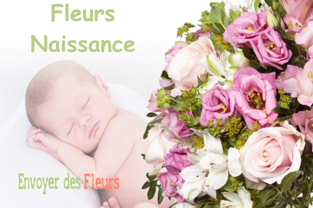 lIVRAISON FLEURS NAISSANCE à MAXEY-SUR-VAISE